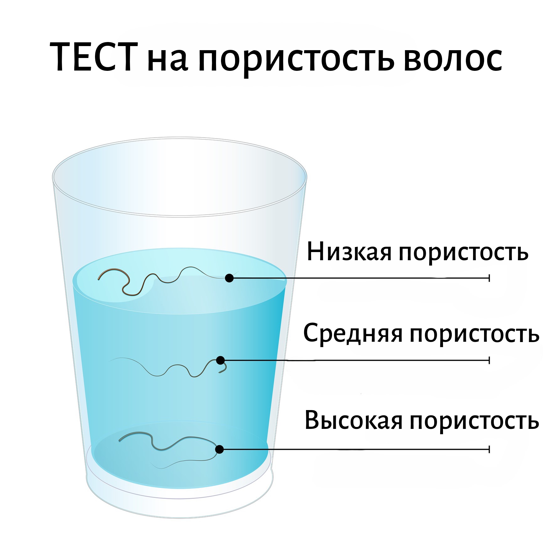 Тест на пористость волос