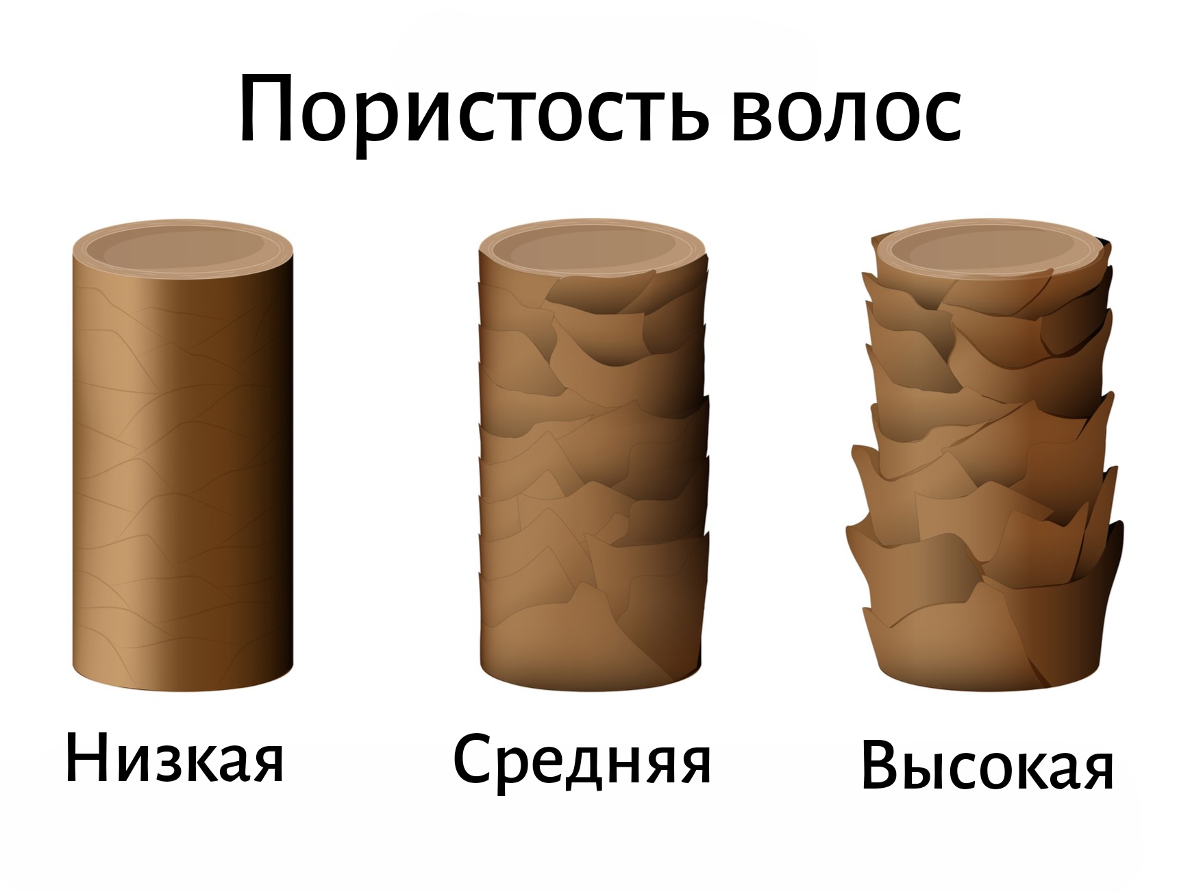 пористость волос