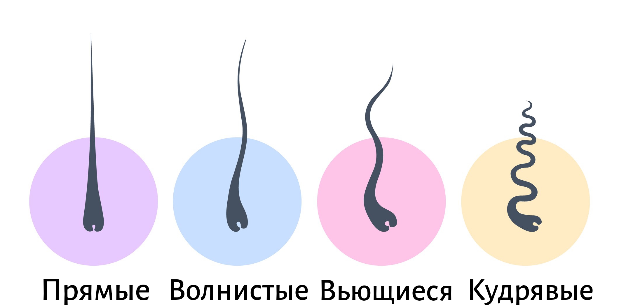 структура и текстура волос