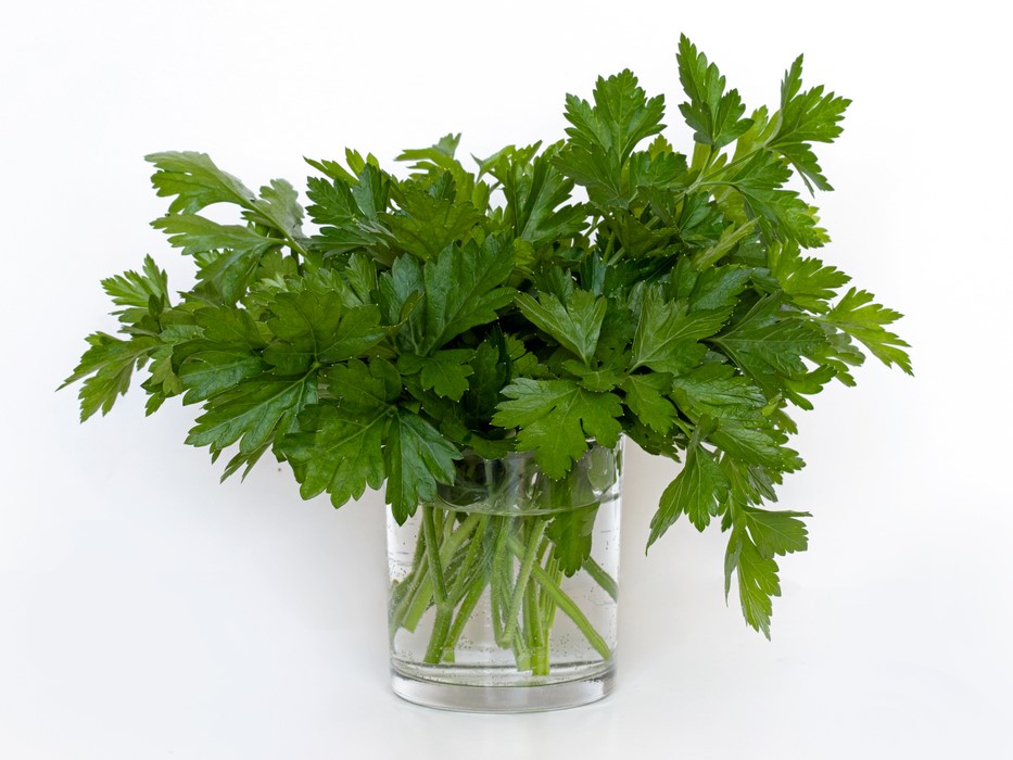 петрушка, витамин К