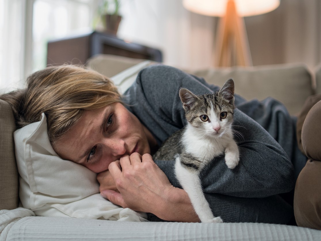 диффузное поредение волос