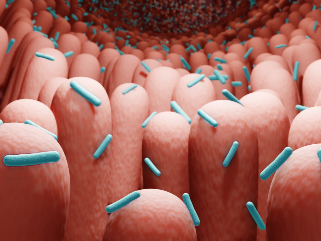 дисбиоз, дисбактериоз кишечника