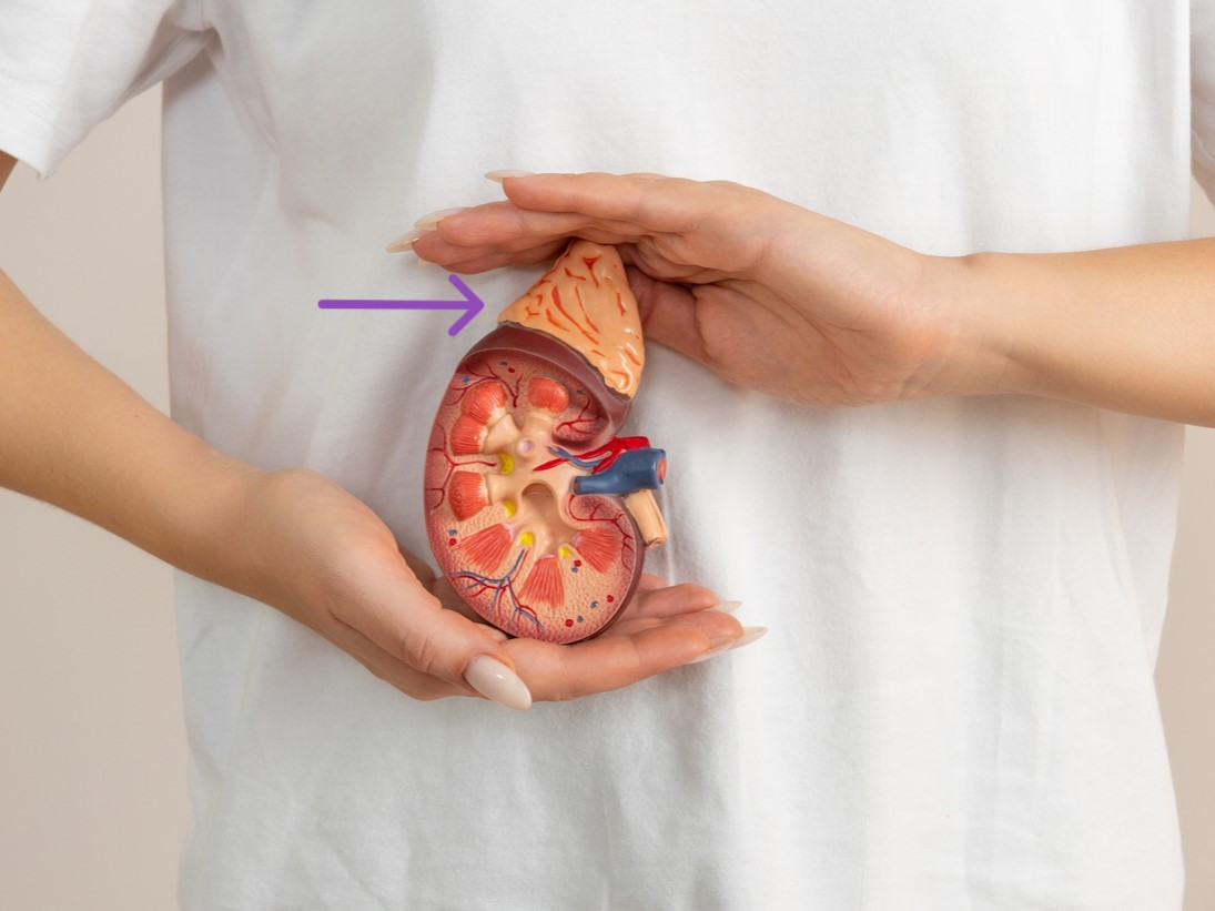 болезнь надпочечников. Как надпочечники влияют на рост волос