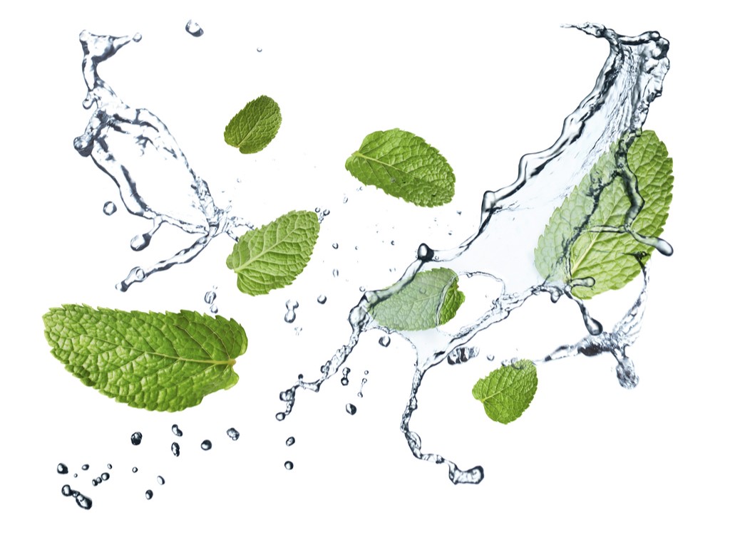 мята для волос