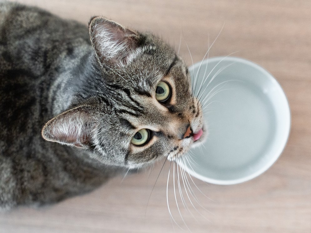 ополаскивание волос пресной водой