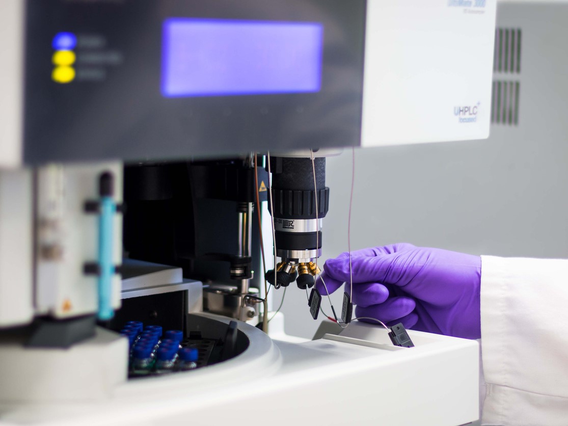 анализ волос на минералы