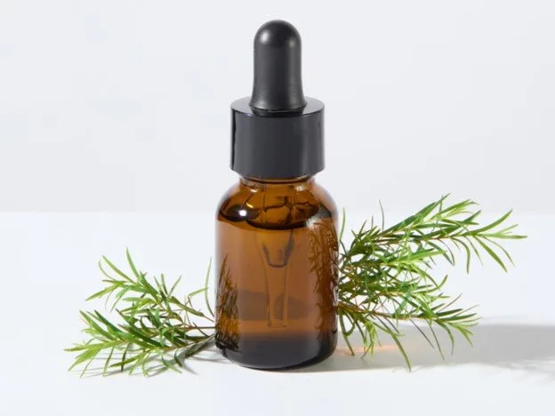 ЧАЙНОЕ дерево