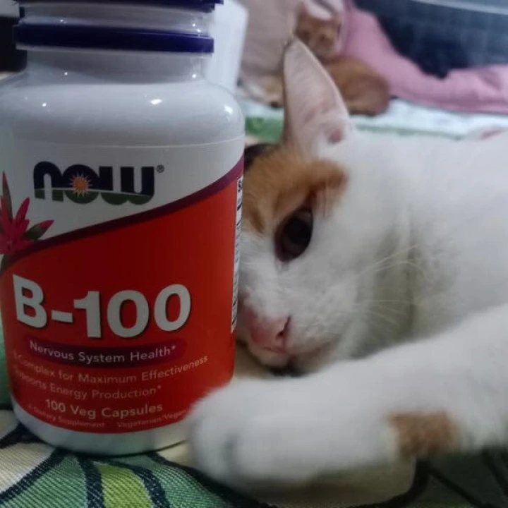 Комплекс витаминов группы B-100 для густых и длинных волос, 100 капс, NOW Foods