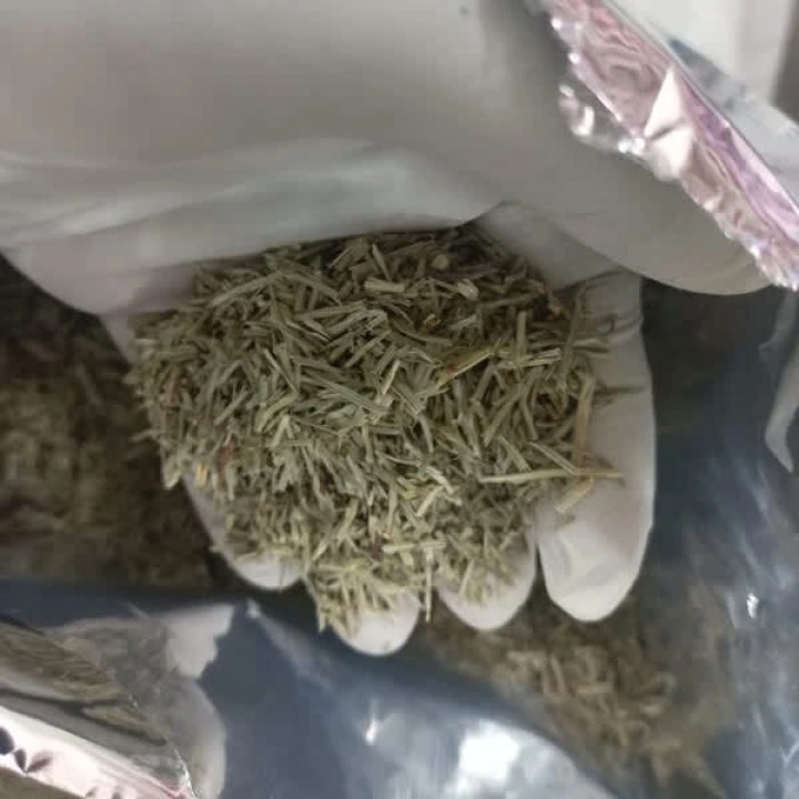 Skrzyp polny do nalewek, odwarów, herbaty, stymulacja wzrostu włosów, 453 g, Frontier Co-op