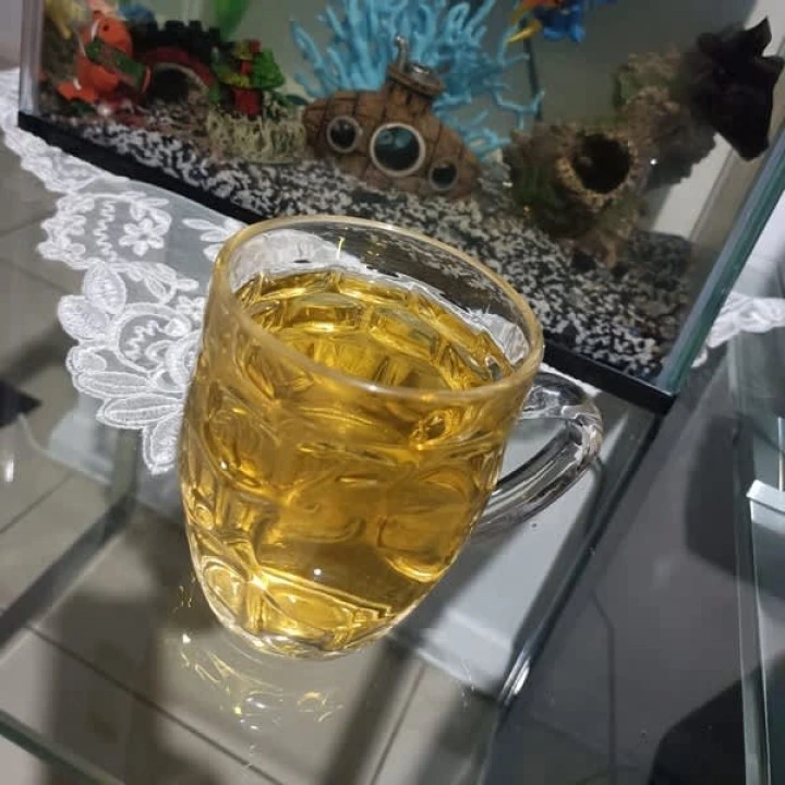 Skrzyp polny do nalewek, odwarów, herbaty, stymulacja wzrostu włosów, 453 g, Frontier Co-op