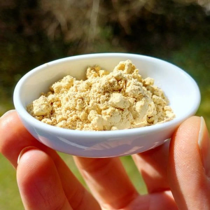 Imbir w proszku do domowych masek i nalewek przeciw wypadaniu włosów, 454 g, Starwest Botanicals