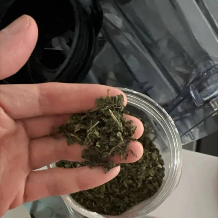 Pokrzywa organiczna do odwarów i nalewek, stymulujących wzrost włosów, 453 g, Frontier Co-op