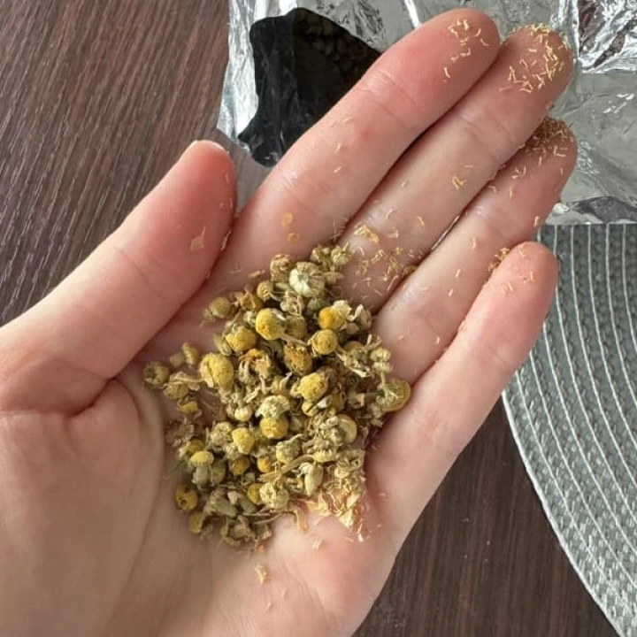 Kwiaty rumianku niemieckiego do odwarów, wzmacniających włosy, 453 g, Frontier Co-op