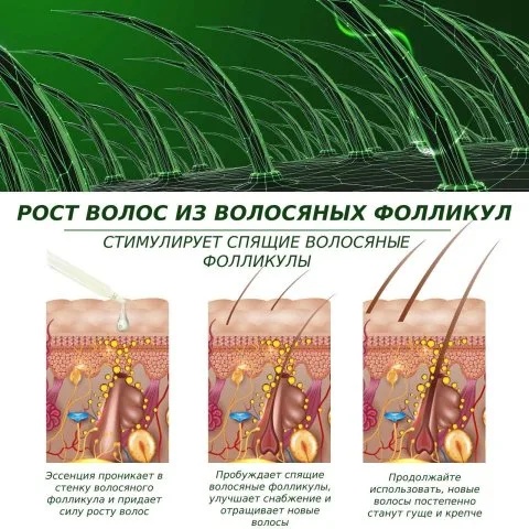 Эфирное масло розмарина для восстановления роста волос, ресниц и бровей, Aliver