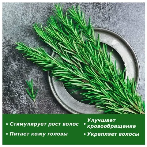 Эфирное масло розмарина для восстановления роста волос, ресниц и бровей, Aliver
